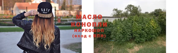 сатива Магас