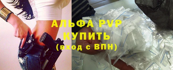 сатива Магас