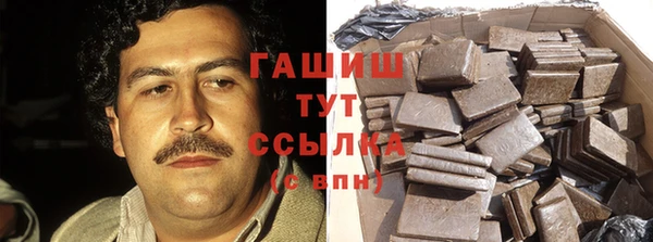 сатива Магас