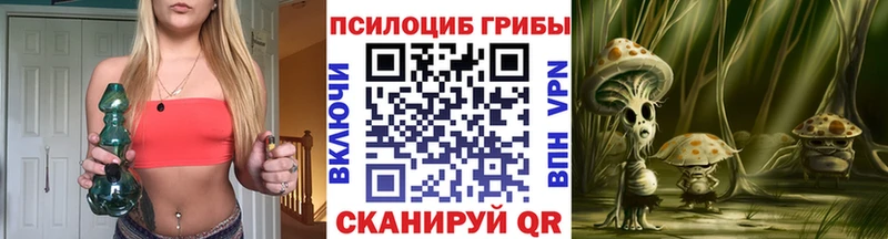 сайты даркнета наркотические препараты  дарнет шоп  Бердск  Псилоцибиновые грибы MAGIC MUSHROOMS 