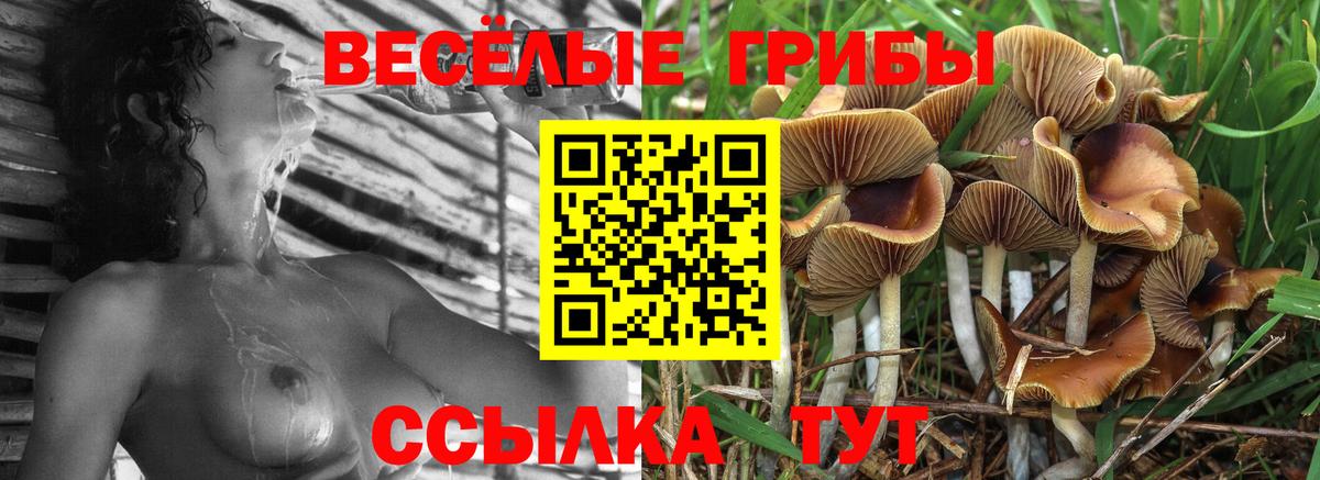 Псилоцибиновые грибы прущие грибы Бердск
