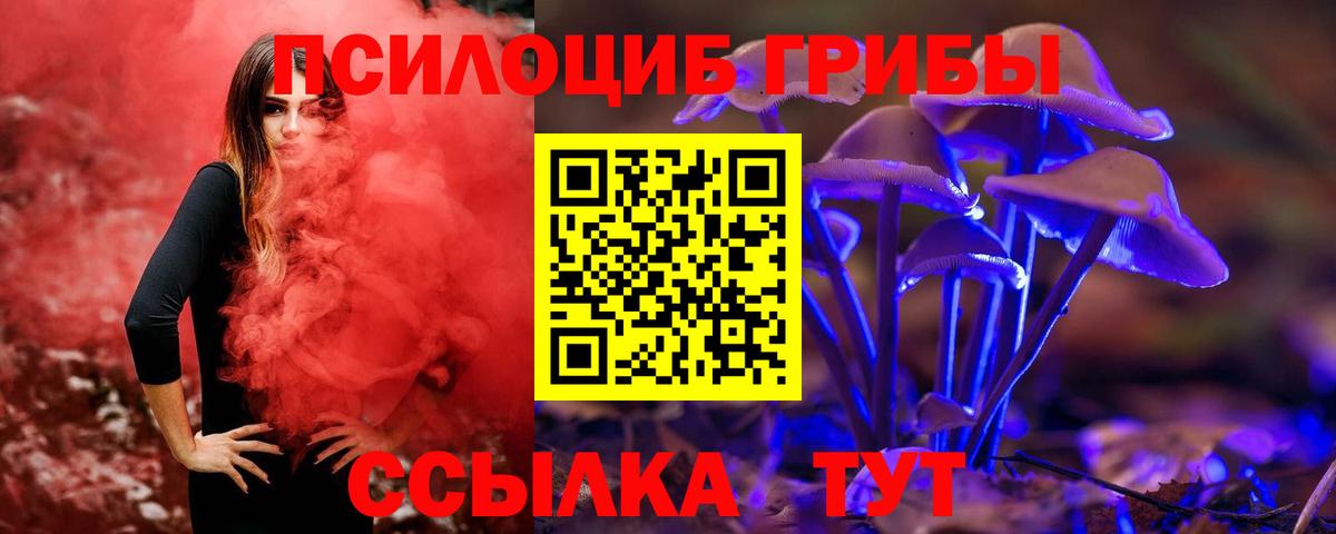 Галлюциногенные грибы Psilocybine cubensis  Вход с VPN  Галлюциногенные грибы Magic Shrooms  Бердск 