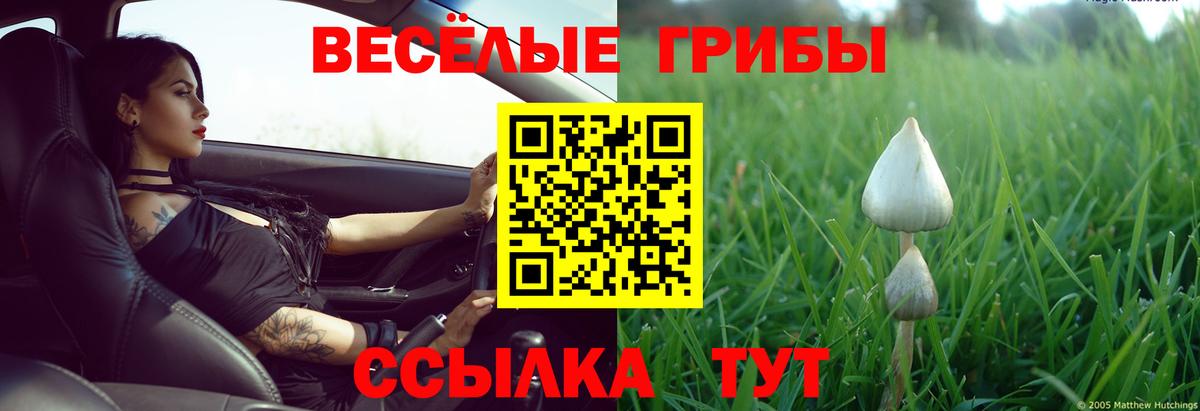 Галлюциногенные грибы MAGIC MUSHROOMS  Бердск  сколько стоит  Галлюциногенные грибы MAGIC MUSHROOMS 