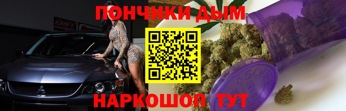 Бошки Шишки план Бердск